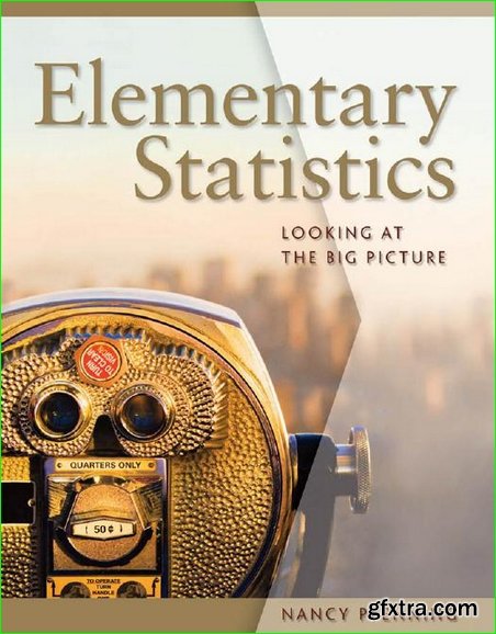 Elementary Statistics: Looking at the Big Picture