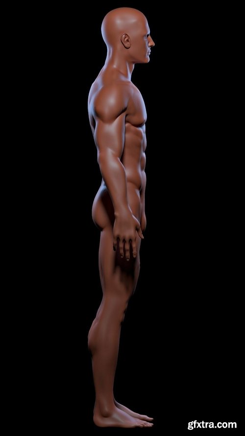 Cgtrader - Realistic Basemesh Male and Female Body - Rigged Low-poly 3D model