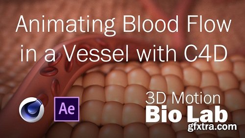 Animating Blood Flow in a Vessel with C4D