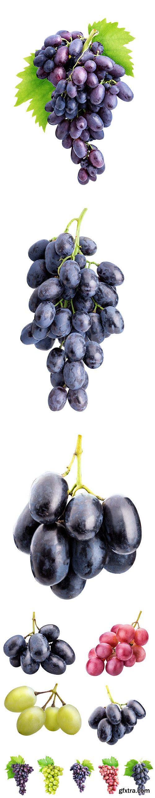 Branch Of Grapes Isolated -6xJPGs