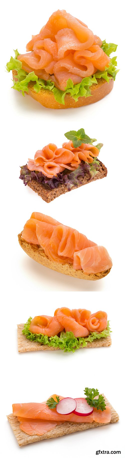 Bread With Fresh Salmon Fillet Isolated - 10xJPGs