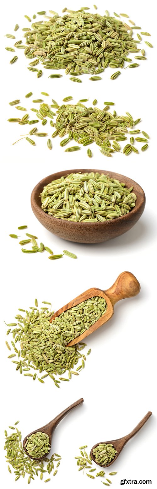 Dried Fennel Seeds Isolated - 6xJPGs