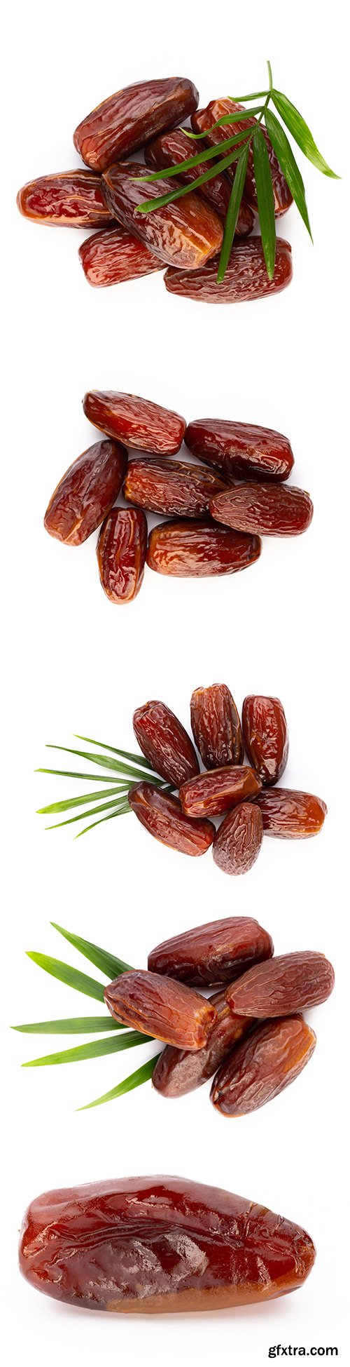 Dry Dates Isolated - 5xJPGs