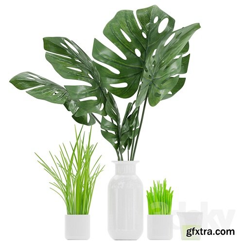 Plant 04 3D Model