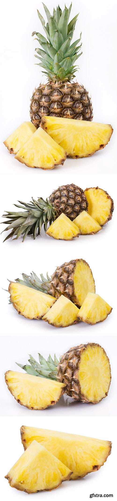 Pineapple Isolated - 10xJPGs