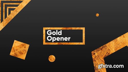 Gold Opener 231602