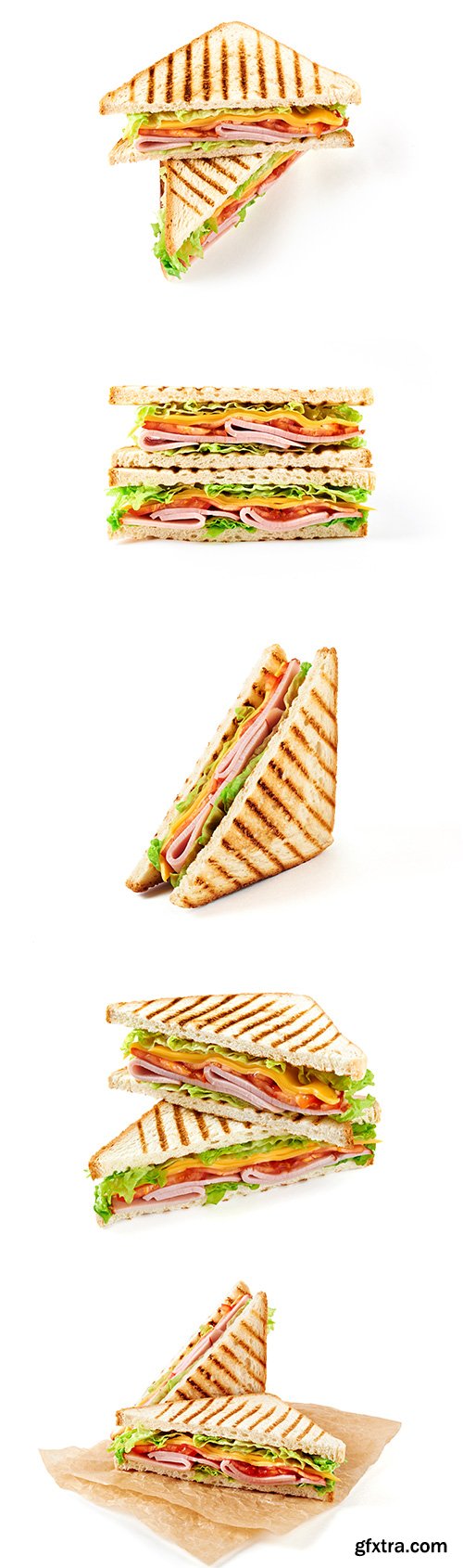 Sandwich With Toasted Bread - 15xJPGs