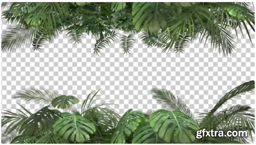Tropical Plant Frames 223057