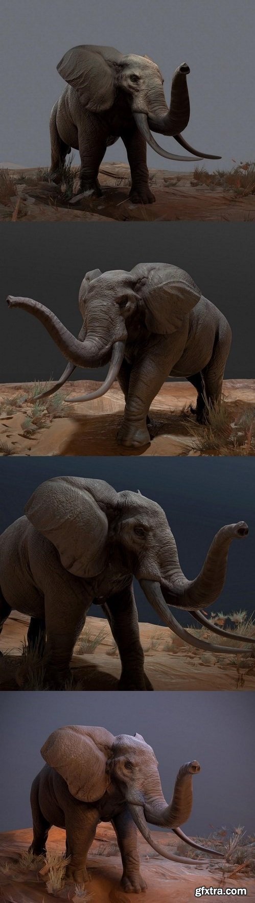 Elephant – 3D Model