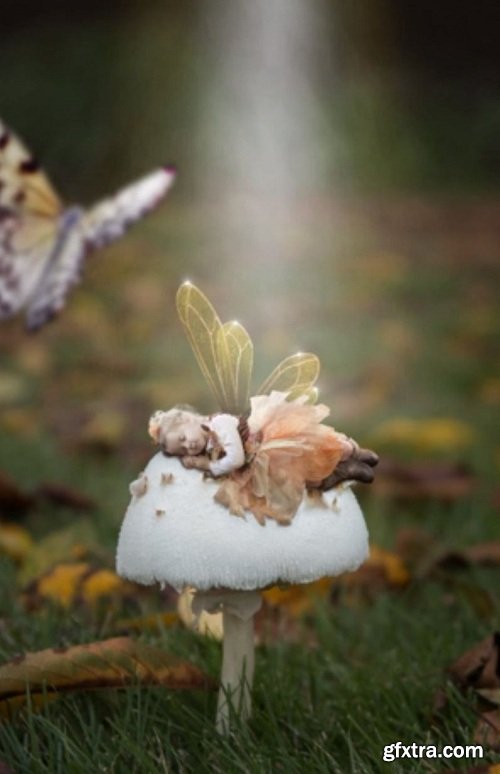 Photographers Unleashed Composite - Autumn Splendor Fairy