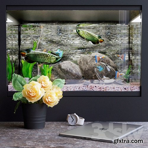 Decorative set with aquarium
