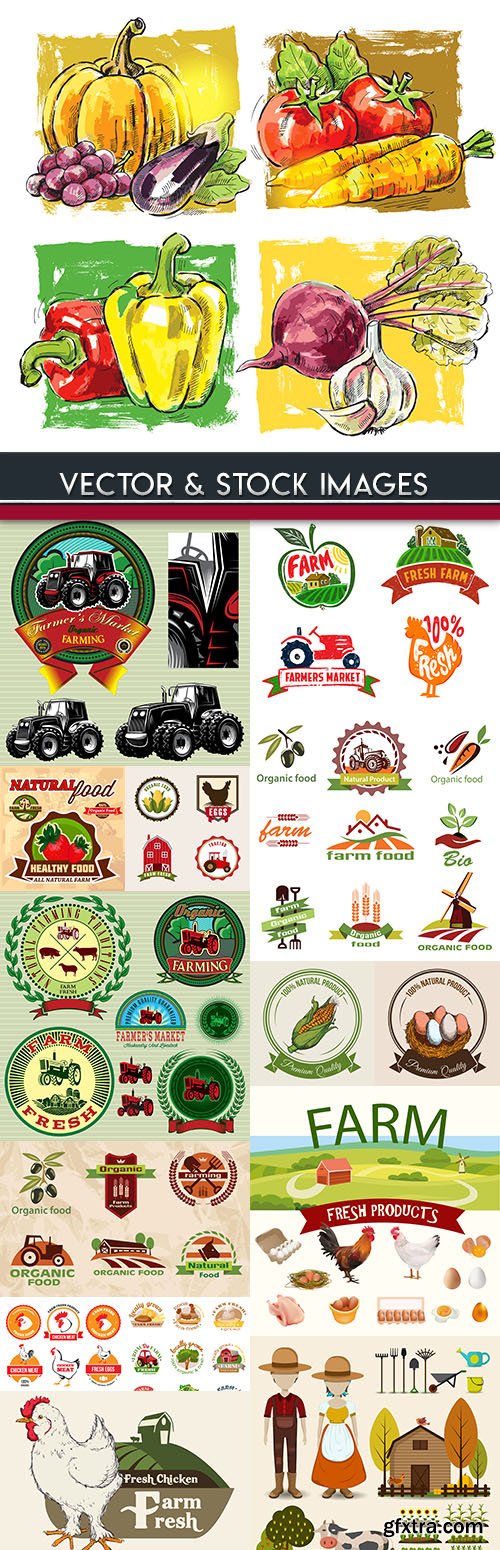 Farm agriculture fresh products label collection