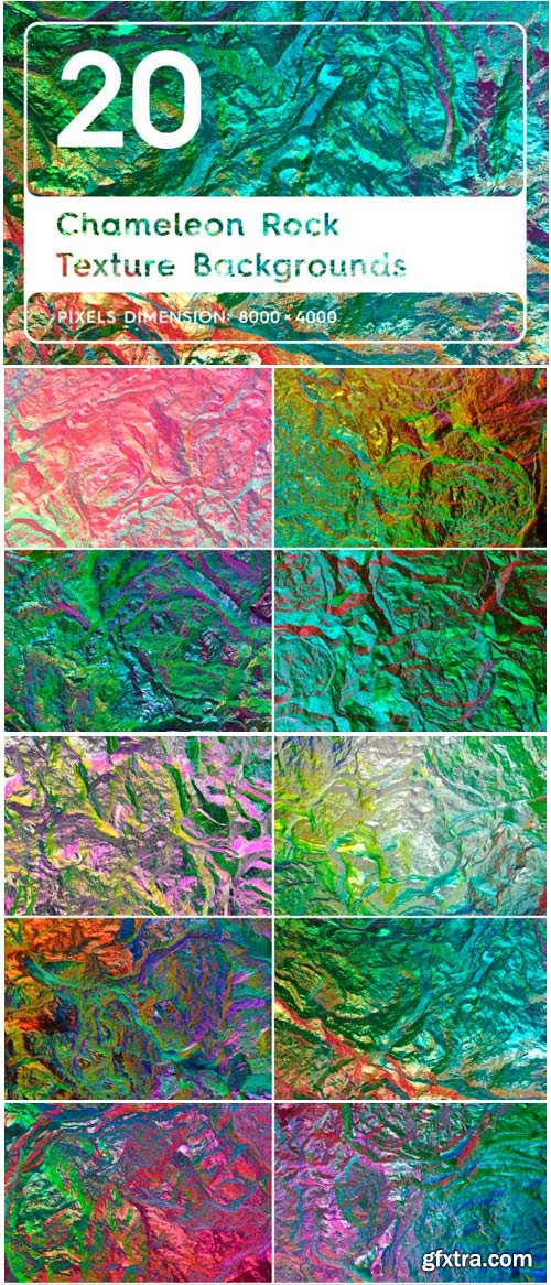 20 Chameleon Rock Texture Backgrounds 1467711