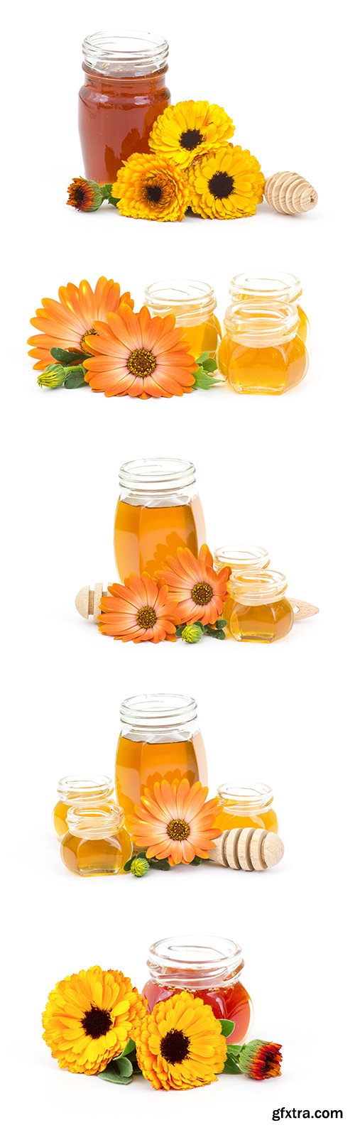 Honey And Calendula Flowers Isolated - 15xJPGs