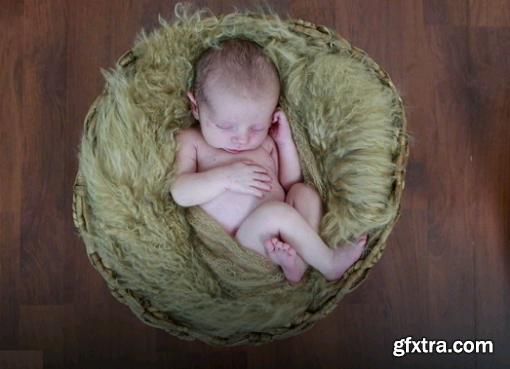 Kelly Brown - Newborn Basket Photo Shoot
