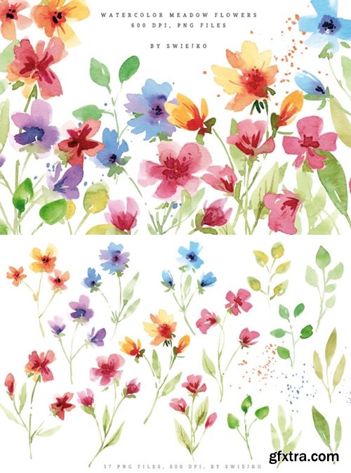 Watercolor Meadow Flowers I