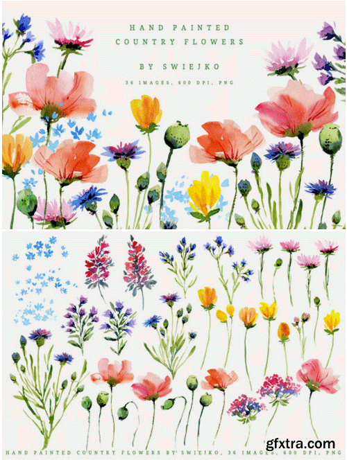Watercolor Country Flowers I 1495257