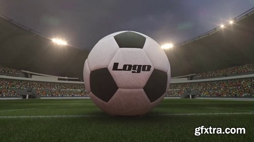 3D Stadium Logo Intro 242770