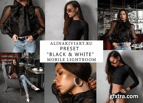 Alina Kiviart - Black & White Lightroom/ACR & Mobile Presets