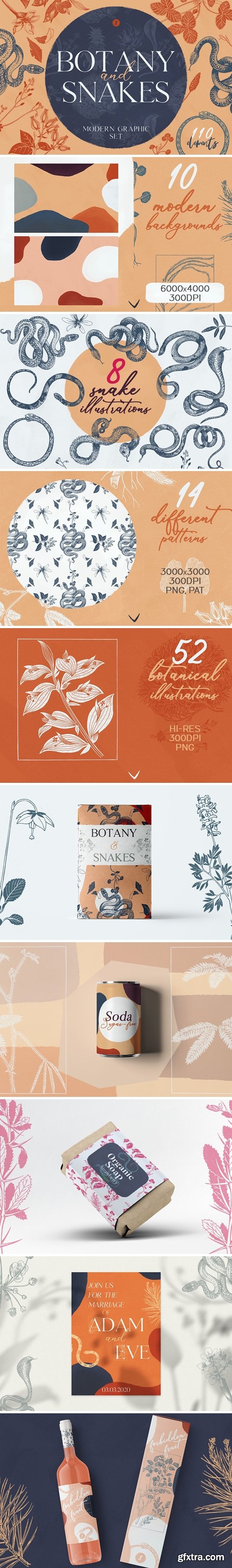CM - Botany and Snakes 3811097