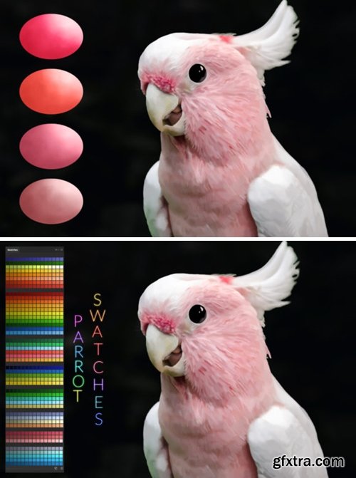 Parrot Swatches