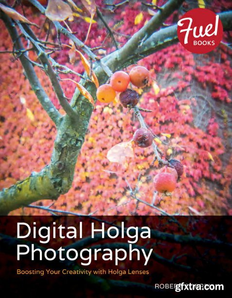 Digital Holga Photography: Boosting Your Creativity with Holga Lenses