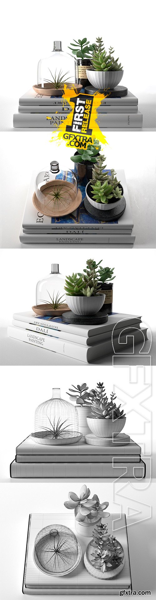 Cgtrader - Books with Succulents and Air Plant 3D model