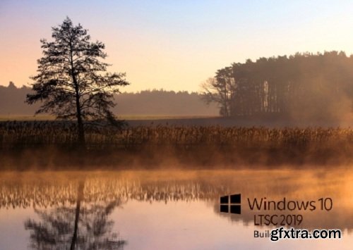 Windows 10 LTSC version 1809 (Build 17763.592) Enterprise