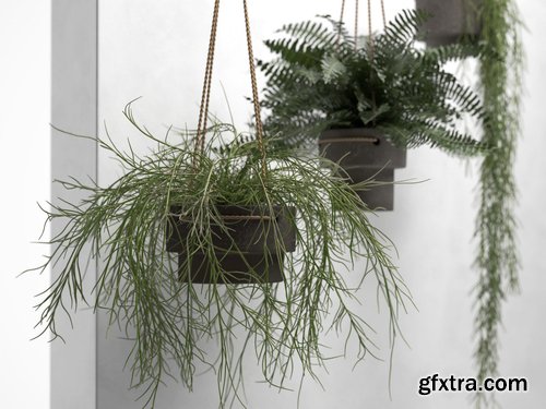 Cgtrader - Hanging Pots with Plants 3D model