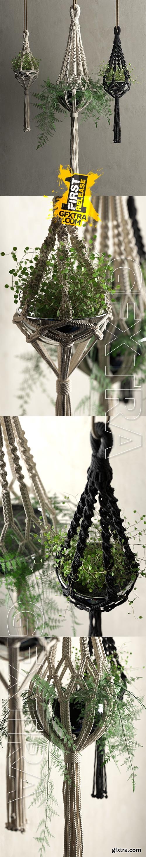 Cgtrader - Macrame Hanging Pots with Plants 3D model