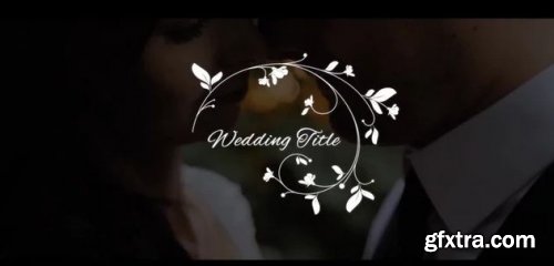 Elegant Wedding Titles 244513