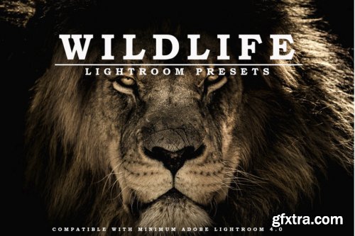 Wildlife Lightroom Presets