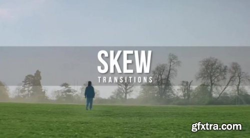 Skew Transitions 248005
