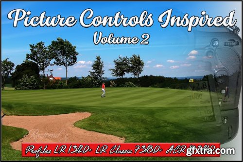 CreativeMarket - Picture Controls Inspired Vol. 2 3868438