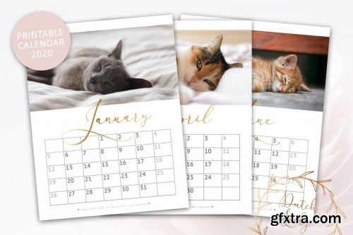 CreativeMarket - Printable Monthly Calendar 2020 Cats 3896026