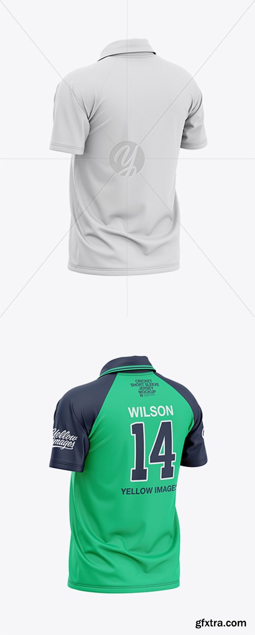 Men\'s Short Sleeve Cricket Jersey / Polo V-Neck Shirt- Back Half Side View 39910
