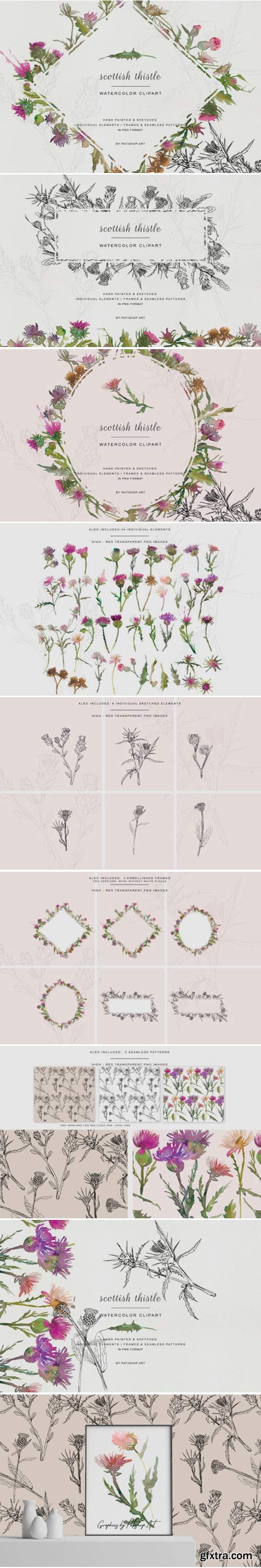 Hand Painted & Sketched Thistle Clip Art 1584504