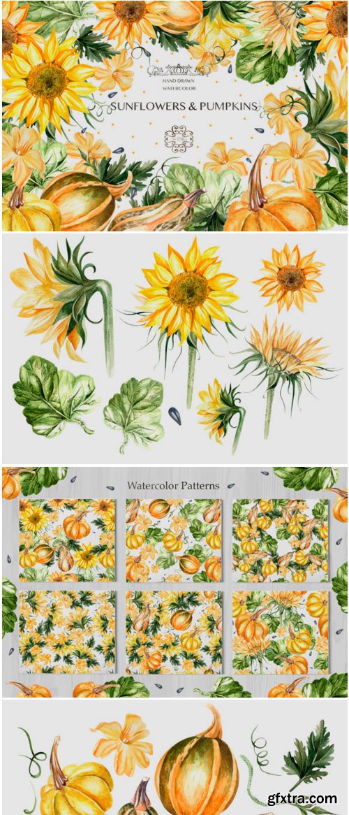 Watercolor Sunflower & Pumpkins 1582605