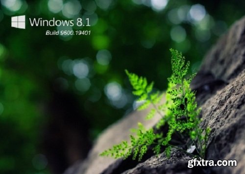 Windows 8.1 build 9600.19401 July 2019