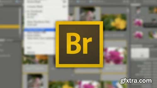 CreativeLive - Organize Your Images with Adobe Bridge