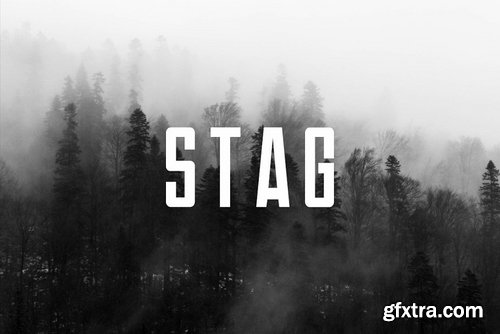 CM - STAG - Display Headline Typeface 3946366