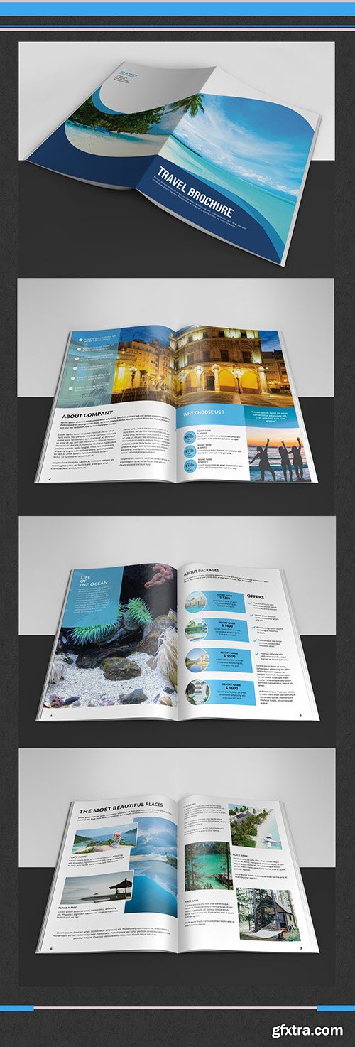 Business Brochure Layout with Blue Accents 243571852