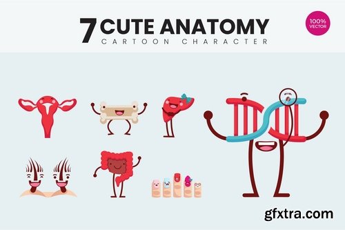 7 Cute Human Anatomy Vector Illustration Vol.3