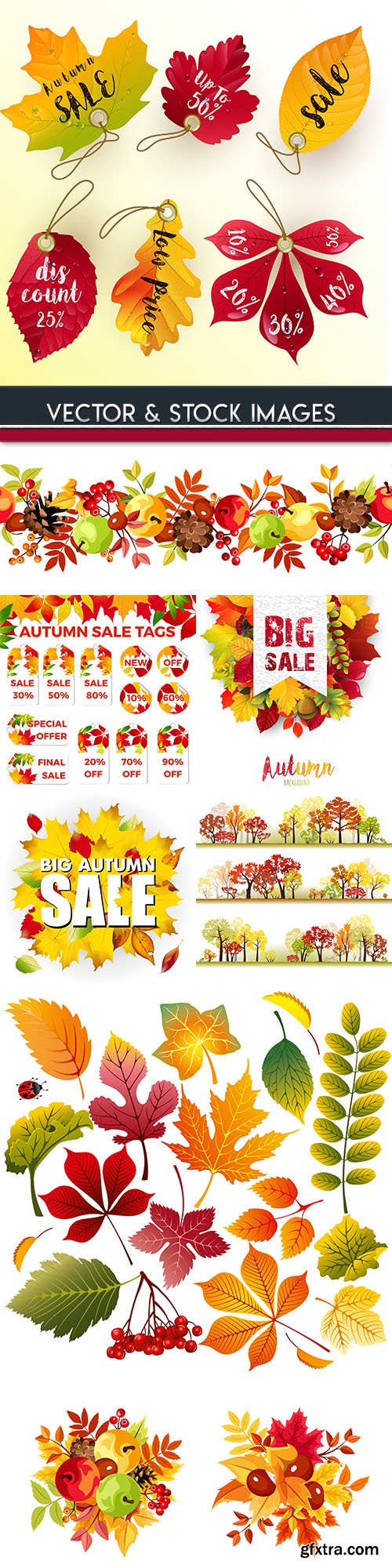 Autumn sales leaf fall bright leaves illustration