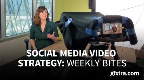 Lynda - Social Media Video Strategy: Weekly Bites (Updated Oct 2019)