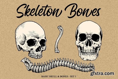 Skeleton handrawn 1