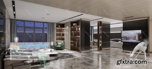Modern Style Livingroom Interior Scene 24 (2019)