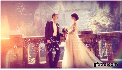 Brush Particle Wedding Slideshow - After Effects 281352