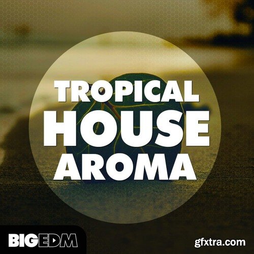 Big EDM Tropical House Aroma WAV MIDI
