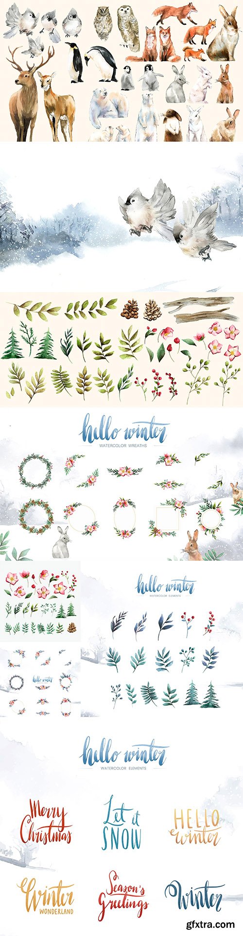 Set of Winter Hand-Drawn Wildlife Watercolor Bloom and Elements Vector